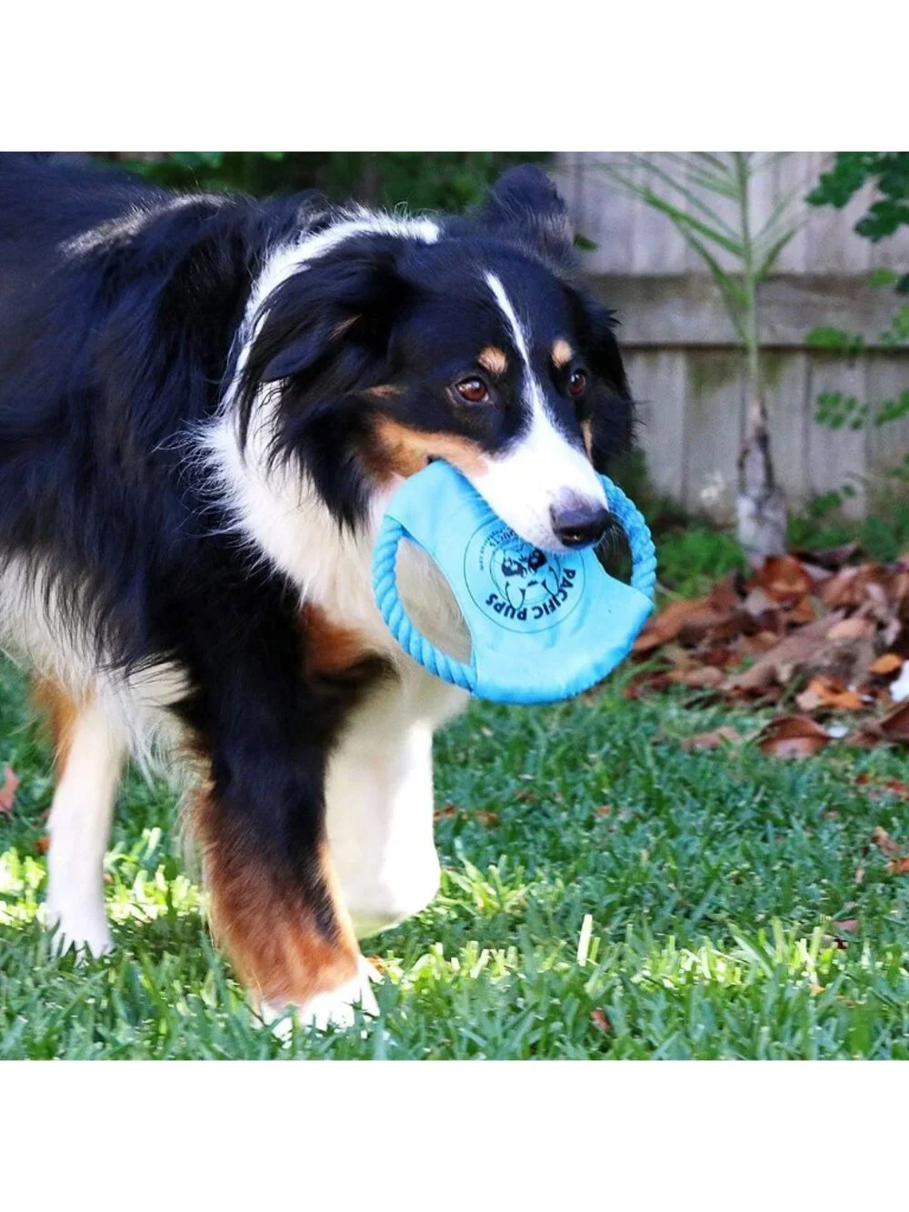 11 Pack Dog Rope Toys for Medium Dogs - Chew & Tug Toys for Puppy Teething Fun